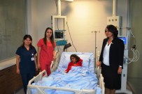 AMBULANS ŞOFÖRÜ - Ayvalık Devlet Hastanesinde Terör Tepkisi