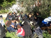 KAZDAĞLARI - Çanakkale'de Bin Göçmen Yakalındı