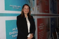 EMEKLİ NÜFUSU - Yaklaşan 1 Kasım Seçimleri