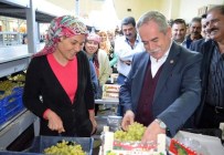 RECAİ BERBER - AK Partili Berber, Üzüm İşçileriyle Görüştü