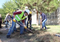 Fabrika'da Genel Müdürü Okulda Hizmetli Ve Çöpçü