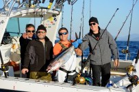 ORKİNOS - Bodrum'da Balık Avlama Heyecanı