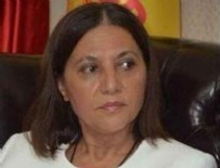 ALİ İSMAİL KORKMAZ - HDP'li Yüksel Mutlu'nun gezici hatası