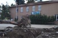 ALIBEYKÖY - Okul Bahçesindeki Ağaçların Kesilmesine Tepki