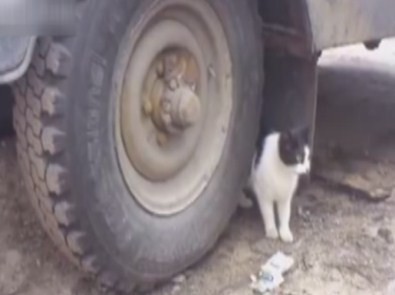 Bu Kadar Gerilim Korku Filmlerinde Bile Yok