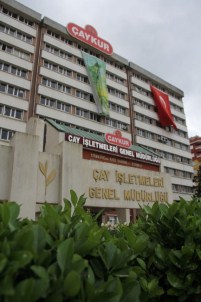 ÇAYKUR Sezonu Rekorlarla Kapattı