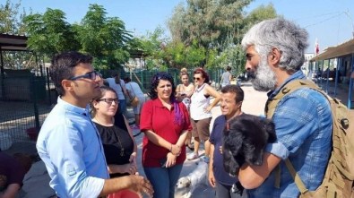 Didim'de Hayvanlar Günü Etkinliği