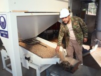 Fosil Yakıta Alternatif Biokütle Yakıt