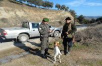 Aydın'da Kaçak Avcılara Ceza Yağdı