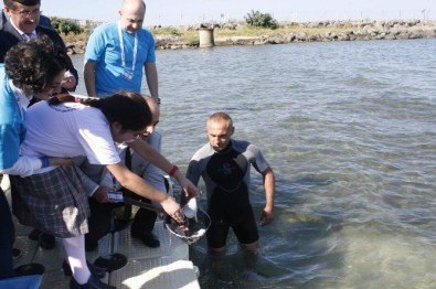 'Denizimi Tanıyorum Ve Koruyorum' Projesi