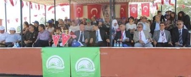 Mahmudiye Mahalli AT Yarışları Başladı