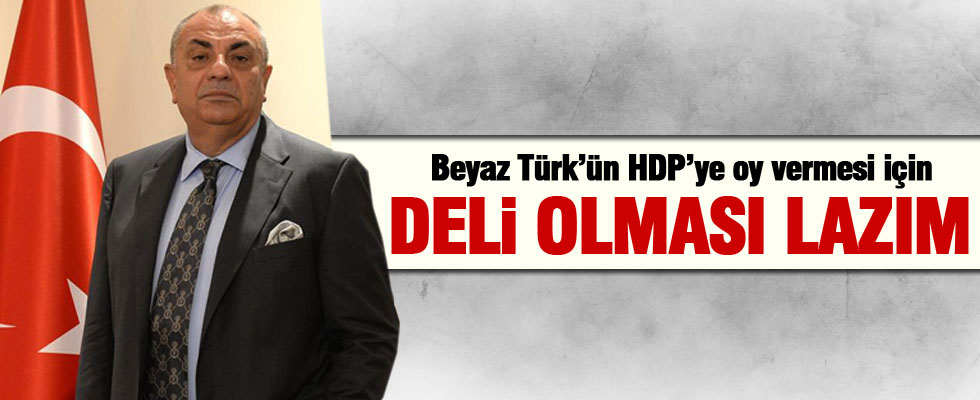 Tuğrul Türkeş: HDP'ye oy vermek için deli olmak lazım