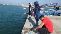 YAT LİMANI - Burhaniye'de Yat Limanı Amatörlerin Mekanı Oldu
