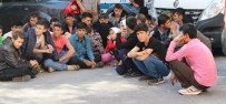 OKUL SERVİSİ - Çanakkale'de 109 Kaçak Göçmen Yakalandı