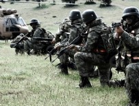 NUSAYBİN GÖZALTI - O İlçede Dev Operasyon: 21 Terörist Öldürüldü