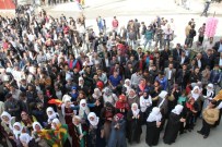 BEKIR KAYA - HDP’ye Van’da soğuk duş!