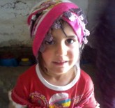 Minik Nehir'in Ölümü Aydınlatılamadı