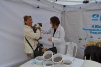 EVCİL HAYVAN - Pendik Belediyesi'nden Evcil Hayvanını Getirene Ücretsiz Aşı