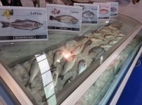 İSMAIL AKSOY - Türk Su Ürünleri Dünya Pazarında İlgi Görüyor