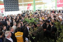 MILLIYETÇILIK - Bakan Eroğlu, Toplu Açılış Ve Temel Atma Törenine Katıldı
