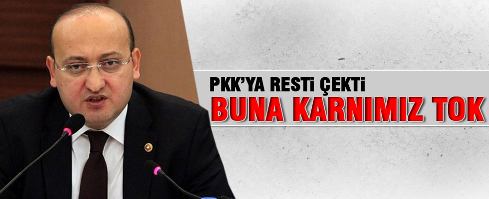 Yalçın Akdoğan'dan PKK'ya rest!