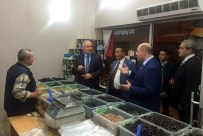 KEFARET - Başkanlar Sahada