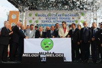 AMIR ÇIÇEK - Borsa Hizmet Binası Temeli Atıldı