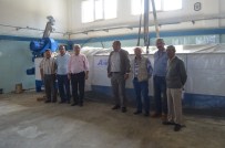 ELEKTRİK TASARRUFU - Burhaniye'de TARİŞ Fabrikasına Yeni Makine