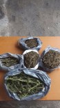 Çarşamba'da 2 Kilo 650 Gram Kubar Esrar Ele Geçirildi