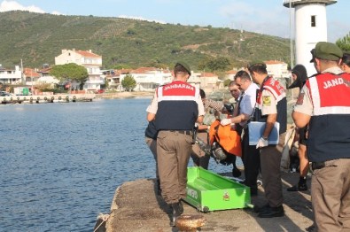 Dalgıcın Zıpkınla Balık Avı Sonu Oldu