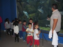 DÜNYA ÇOCUK GÜNÜ - Minikler, Meraklı Gözlerle Okyanusu İncelediler