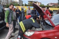 KAPALI ÇARŞI - Motor İçine Sıkışan Yavru Kediyi Kurtardılar