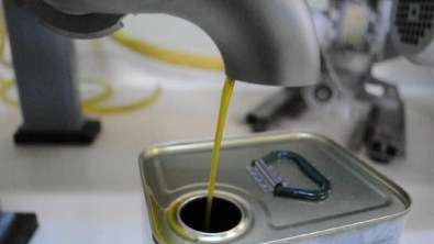 Muğla'da İlk Zeytinyağı Sıkım Yapıldı