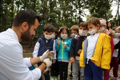 Neşe Erberk Anaokulu Öğrencilerinden Adapazarı Hayvan Barınağına Ziyaret