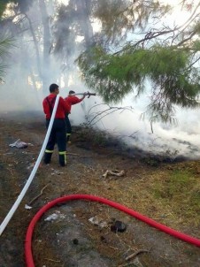 Savaştepe'de Orman Yangını