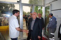 MUSTAFA ELİTAŞ - Başbakan Başdanışmanı Mustafa Elitaş Açıklaması