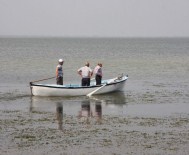 ULUABAT GÖLÜ - Bozbey Açıklaması 'Uluabat Gölü Yok Olmaya Doğru Gidiyor'