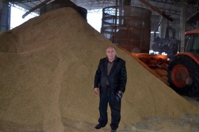 Çeltik Üreticisi Fiyat Bekliyor