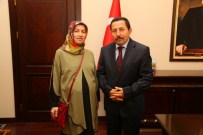 Tüp Bebek Projesinde Mutlu Son