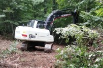 Akçakoca'da Gençleştirme Çalışmaları Devam Ediyor