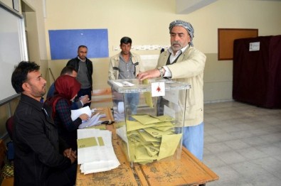 Siverek'te Oy Kullanma İşlemine Yoğun İlgi