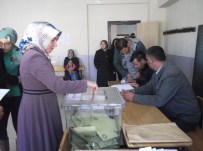 MEHMET NURİ ÇETİN - Varto'da Seçim Sakin Geçiyor