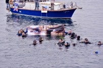 KÜÇÜKYALı - Mavi Gözler Denizde Açıldı