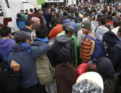 Avusturya'da sığınmacı krizi
