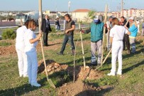 İSKENDER YÖNDEN - Kaymakam Yönden, Öğrencilerle Fidan Dikti