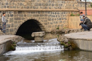 Diyarbakır Büyükşehir Belediyesi'ne Ödül