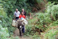 Evlerine Eşeklerle Su Taşıyorlar Haberi