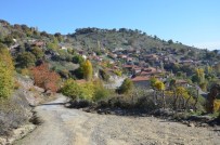 ALTIN REZERVİ - Kiraz Köyde 'Altın' Heyecanı