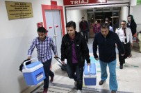 KARACİĞER NAKLİ - MİT'çinin Cinnetinde Hayatını Kaybeden Eşi 3 Kişiye Umut Olacak