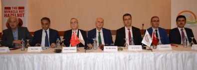 Fındıkta Büyük Başarı